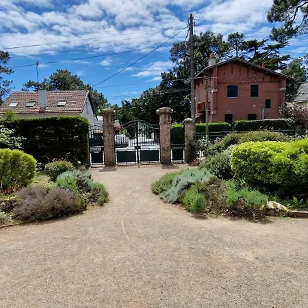 Daire Et Le Chardonnay